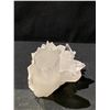 Image 2 : NEW CLEAR QUARTZ CLUSTER RETAIL $1889.51 APPROX 4X5"