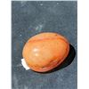 Image 2 : NEW NATURAL CARNELIAN TUMBLED STONE RETAIL $149.51 APPROX 2X2"