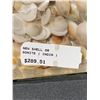 Image 2 : NEW SHELL ORGONITE INDIA PYRAMID RETAIL $289.51 APPROX 3X3"