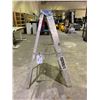 Image 1 : FEATHERLITE 4' STEPLADDER