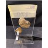 Image 4 : NEW AMMONITE FOSSILS SPECIMEN DISPLAY RETAIL $889.51 APPROX 6X4"