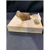 Image 3 : NEW NATURAL CITRINE PYRITE (ABUNDANCE GRID) RETAIL 1,549.51 APPROX 3-1/2X5-1/2X7" (1 STONE