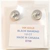 Image 2 : 14K WHITE GOLD BLACK DIAMOND (1.5CT)  EARRINGS