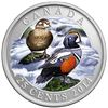 Image 1 : 2014 25 Cent Coloured Coin , Harlequin Duck