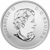 Image 2 : 2014 25 Cent Coloured Coin , Harlequin Duck
