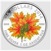 Image 1 : 2014 TWENTY DOLLAR SILVER COIN ,  Autumn Falls, Colourized