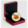 Image 3 : 2014 TWENTY DOLLAR SILVER COIN ,  Autumn Falls, Colourized