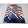 Image 3 : Poster- Parody Trump Make America Great Again in Sleeve (11x18)