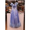 Image 1 : Adult Size Disney Cinderella Dress - About a Women's Medium