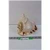 Image 1 : Conch Shell