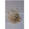 Image 2 : Conch Shell