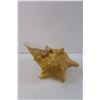 Image 2 : Conch Shell