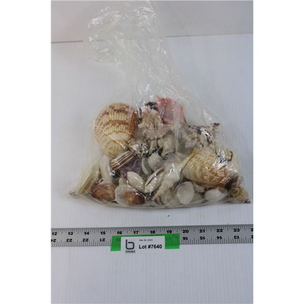 Bag of Assorted Sea Shells