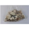 Image 2 : Bag of Assorted Sea Shells