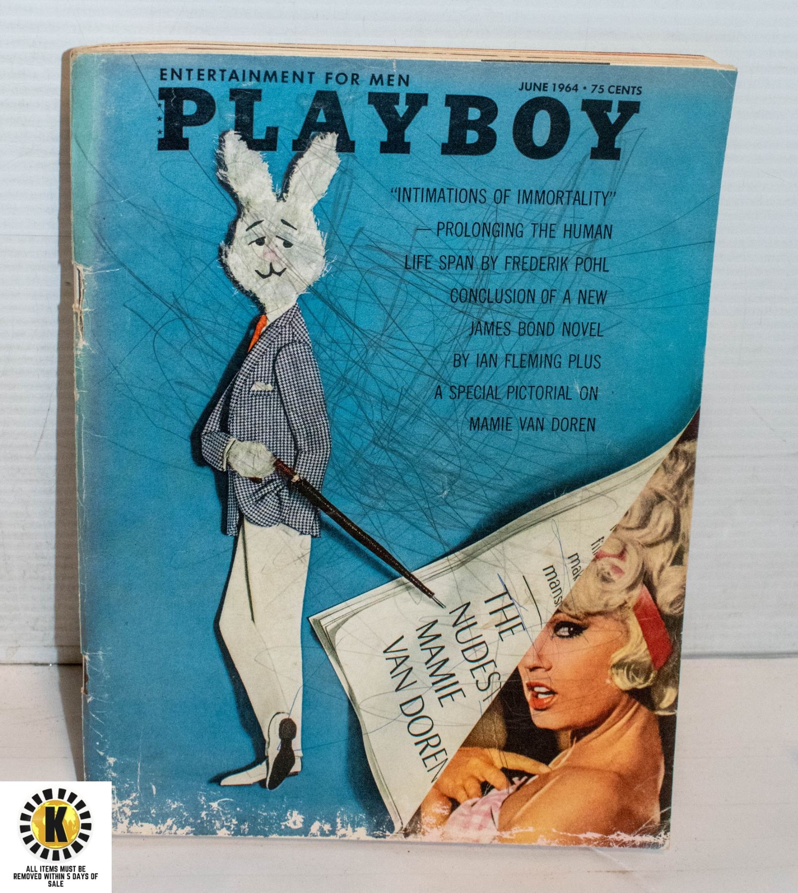 Are Old Playboy Magazines Worth Any Money - ttxfvh6