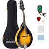 Image 1 : NEW DONNER A STYLE MANDOLIN IN 8 STRING SUNBURST
