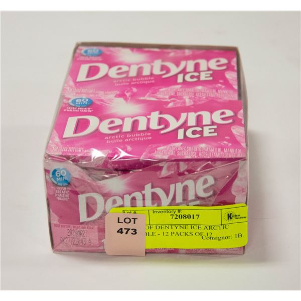 BOX OF DENTYNE ICE ARCTIC BUBBLE - 12 PACKS OF 12