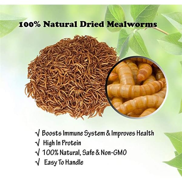 11LBS BAG OF DRIED MEALWORMS