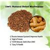 Image 1 : 11LBS BAG OF DRIED MEALWORMS