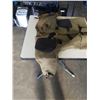 Image 2 : MILITARY STYLE SHOOTING JACKET WITH KAMLOOPS ROCKY MOUNTAIN RANGERS PATCH AND  BRITISH COLUMBIA RIFL