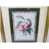 Image 3 : (2) Pictures of Plums & Peaches (18" x 22")