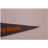 Image 4 : Walt Disney World Pennant