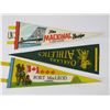 Image 5 : (3) Souvenir Pennants