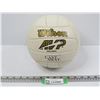 Image 1 : Wilson Volley Ball (Wilson Castaway)