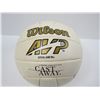 Image 3 : Wilson Volley Ball (Wilson Castaway)