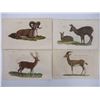 Image 2 : (12) Lithographs of Various Goats