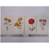 Image 1 : (15) Lithographs of Various Flowers