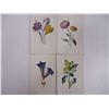 Image 3 : (15) Lithographs of Various Flowers