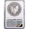 Image 2 : 1993-P American Silver Eagle NGC PF69 UC