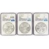 Image 1 : 2019 Set (3) American Silver Eagles NGC MS69