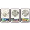 Image 2 : 2019 Set (3) American Silver Eagles NGC MS69