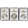 Image 1 : 1991 Set (3) American Silver Eagles NGC MS69