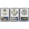 Image 2 : 1991 Set (3) American Silver Eagles NGC MS69