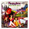 Image 1 : WE’VE GOT FUZZBOX & GONNA USE IT - STEVE AUSTIN