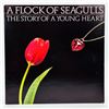 Image 1 : A FLOCK OF SEAGULLS - THE STORY OF A YOUNG HEART