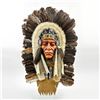Image 1 : NATIVE AMERICAN INDIAN CHIEF FEATHER HEADDRESS