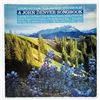 Image 1 : LIVING GUITARS - A JOHN DENVER SONGBOOK - VINYL LP