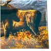 Image 2 : LARGE GLASS MOOSE TRAY BY ROSEMARY MILLETTE