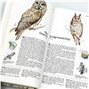 Image 4 : BOOK OF NORTH AMERICAN BIRDS - READER’S DIGEST
