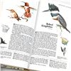 Image 7 : BOOK OF NORTH AMERICAN BIRDS - READER’S DIGEST