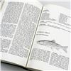 Image 8 : FRESHWATER FISHES OF CANADA 1973 FISHERIES CANADA