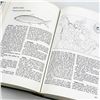 Image 9 : FRESHWATER FISHES OF CANADA 1973 FISHERIES CANADA