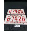 Image 1 : 1976 Manitoba Snowmobile Plate