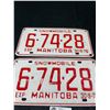 Image 2 : 1976 Manitoba Snowmobile Plate