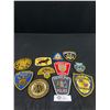 Image 1 : 11 Misc Arm Patches, Mostly Police