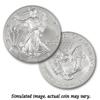 Image 1 : 2010 Silver American Eagle